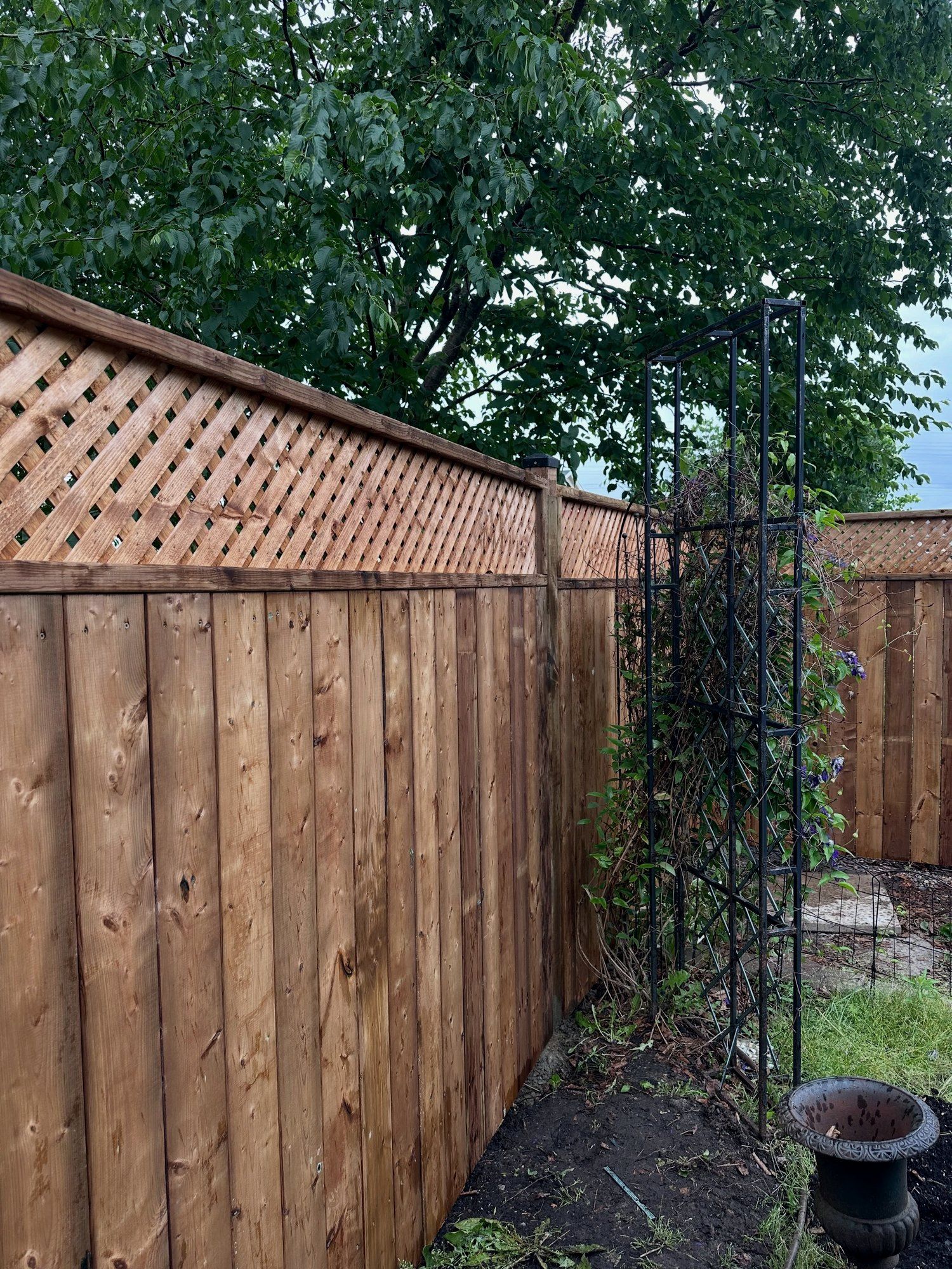 Solid wood privacy fence with a lattice top section beside a garden arch