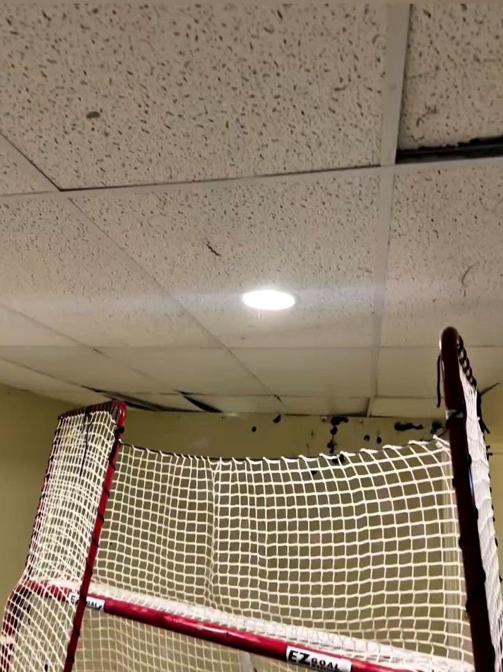 Broken, water-stained drop ceiling tiles along the top of a basement wall, before repair