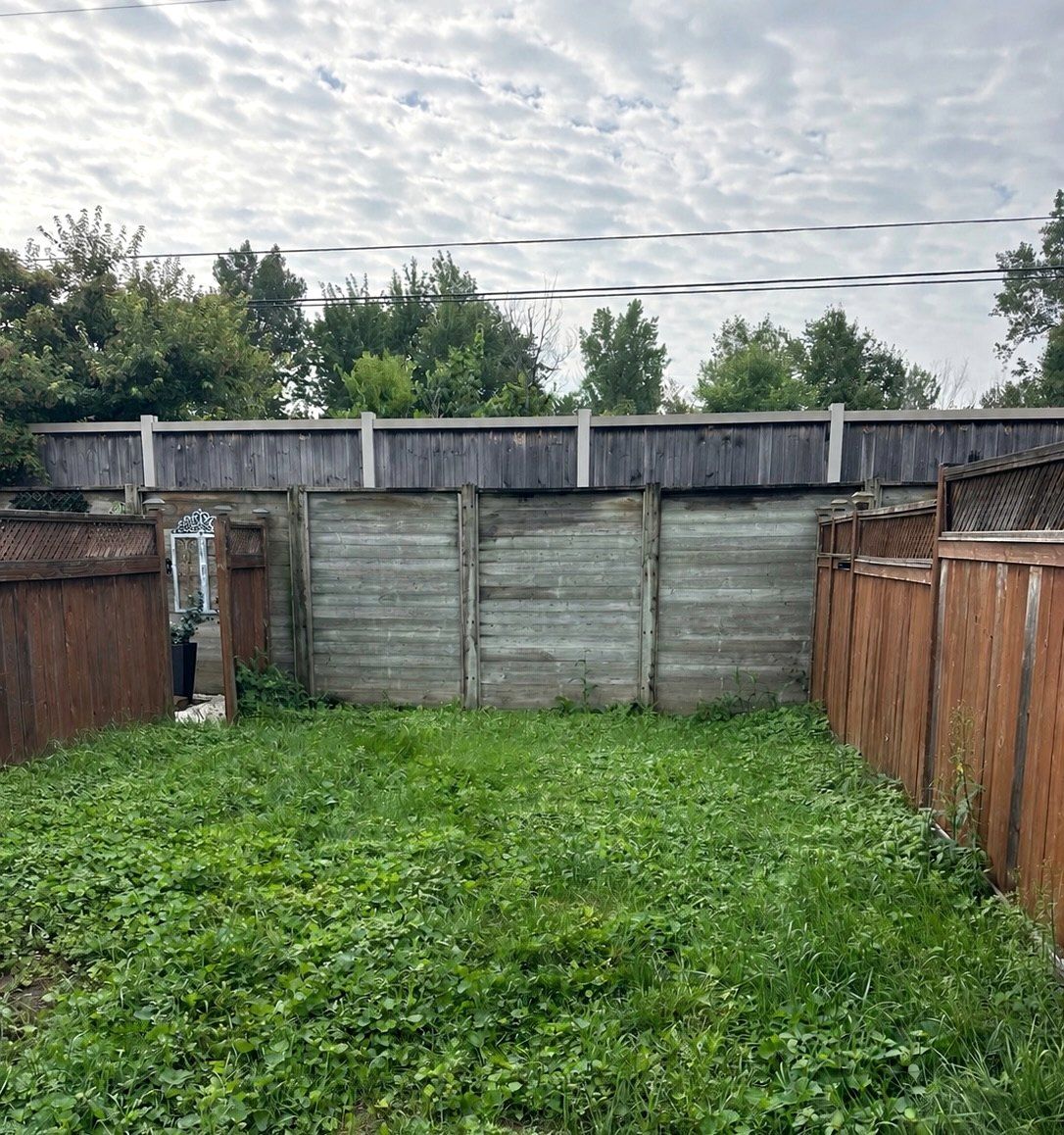 Before: Lawn to gravel yard and slab patio