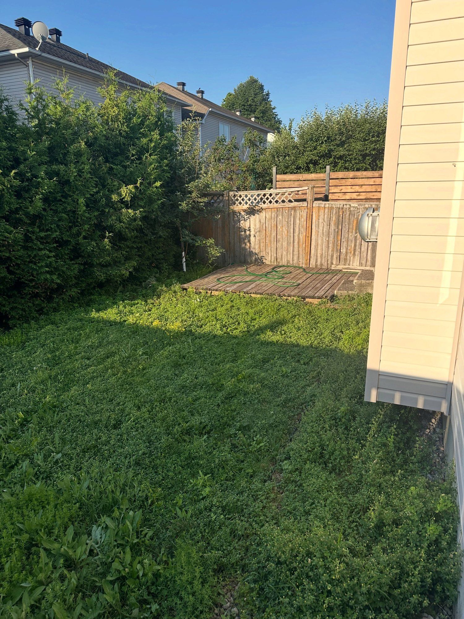 Before: French drain, walkway and rear patio