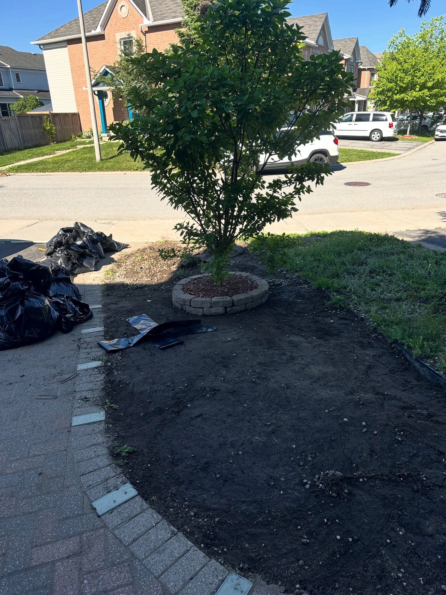 Soil in, edging along the lawn