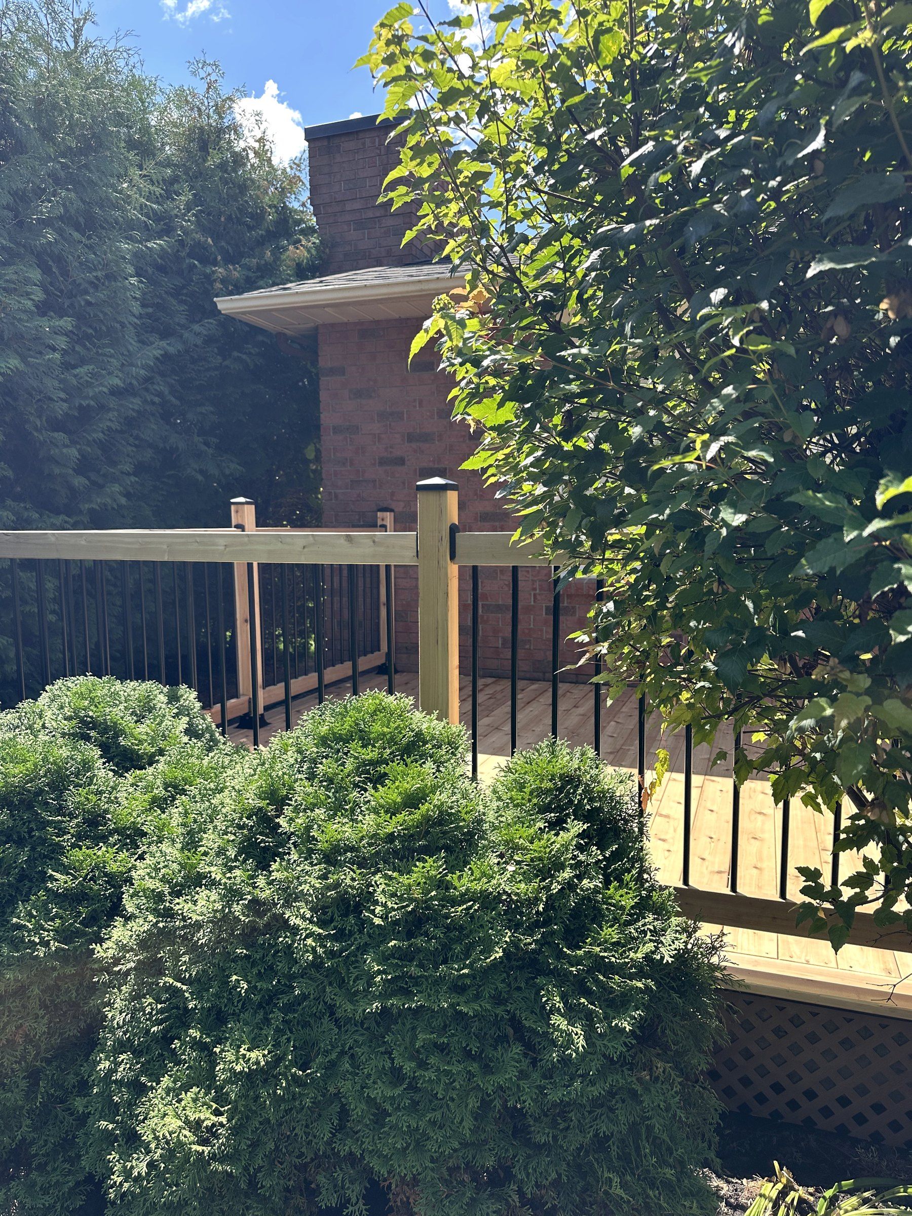 Black aluminum balusters from the yard side