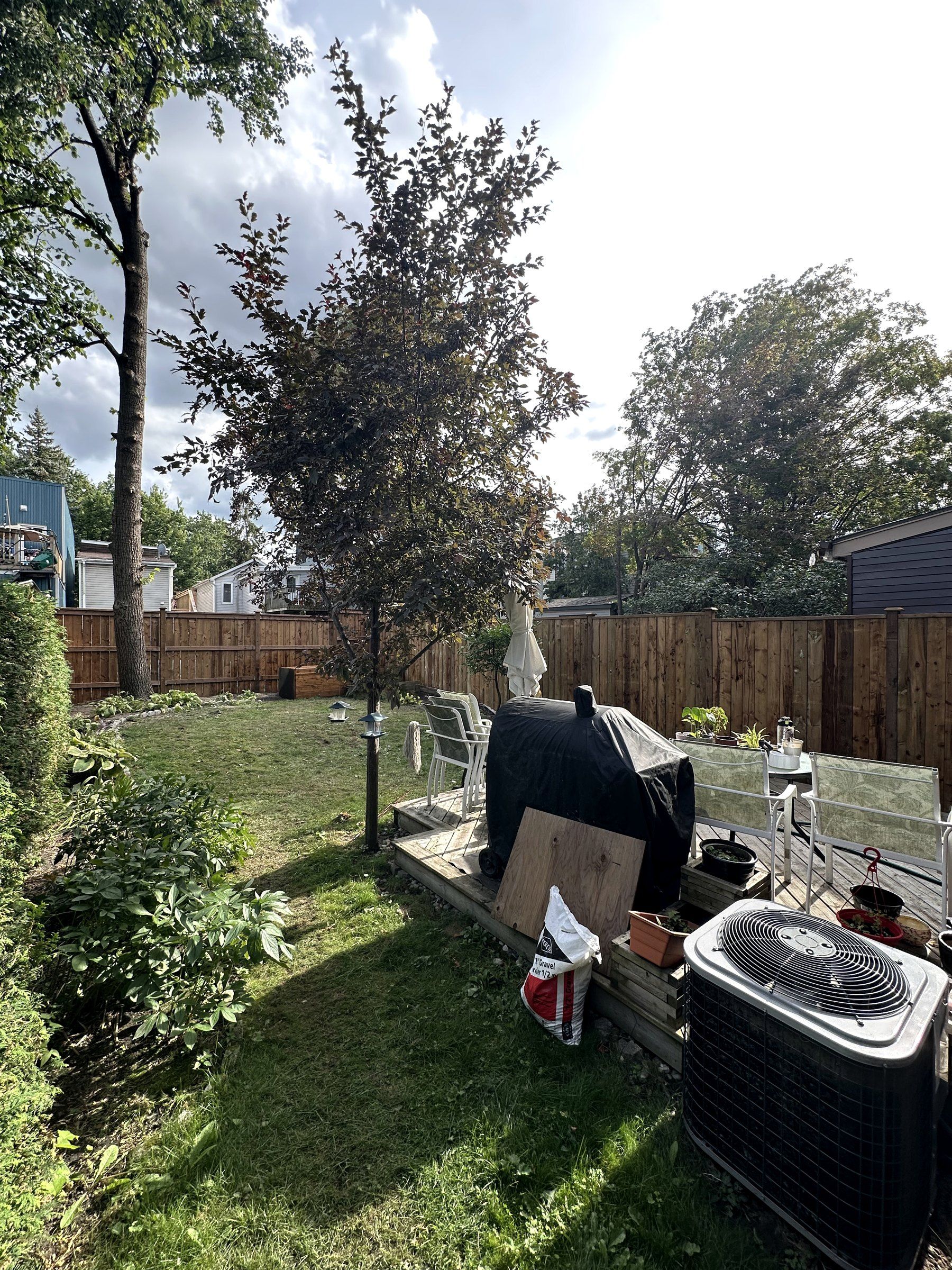 The yard with the new fence line