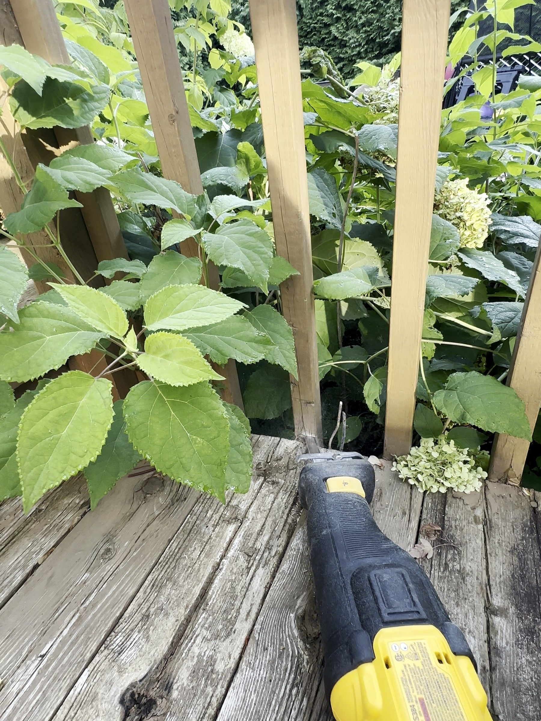 Old balusters cut out among the shrubs